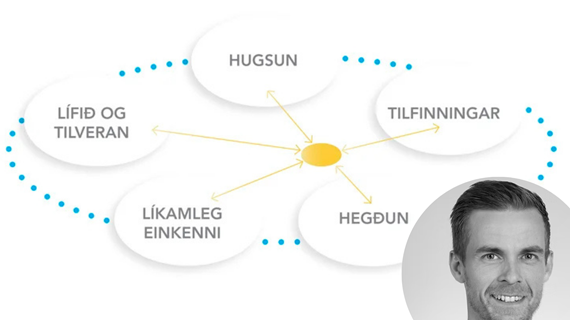 Verkjan&#xE1;mskei&#xF0; byggt &#xE1; HAM og ACT